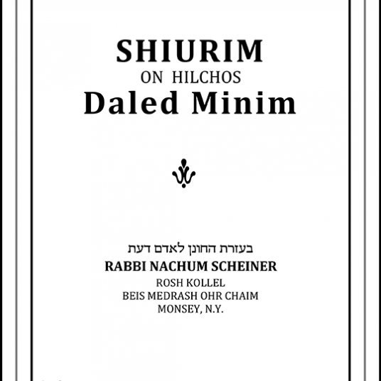 EBOOK Shiurim on Hilchos Daled Minim RABBI NACHUM SCHEINER Ebook