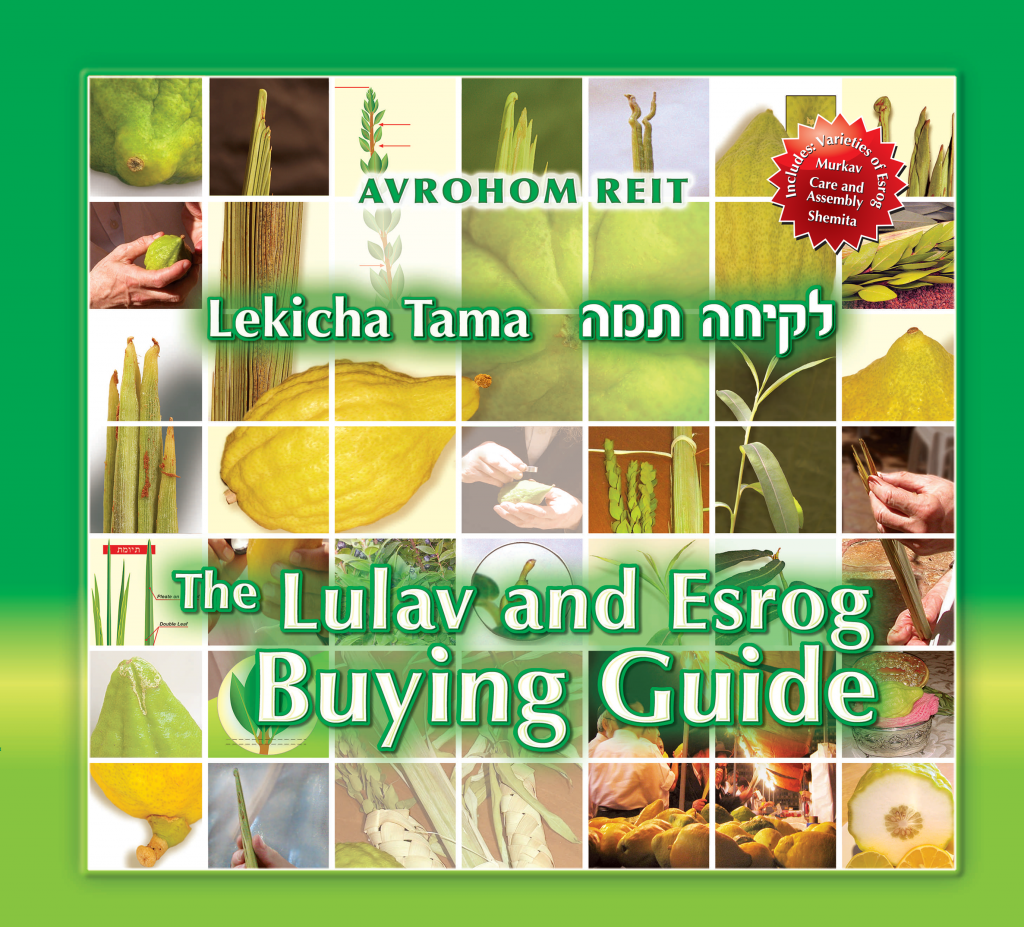 Erotik anal porno it uslubidagi jinsiy aloqa fotosuratlari