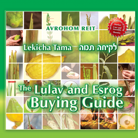 ebook-lulav-esrog_buying_guide_cover